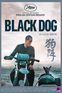 BLACK DOG 300x200
