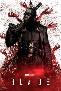 blade 300x200